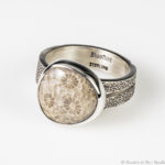 Petrified Coral and Sterling Silver Ring